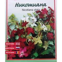 Никотиана микс