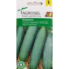 Краставици Маркетмор Marketmore (тип тимор)