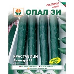 Краставици Авангард F1 тип Гергана