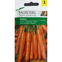 Моркови Нантес