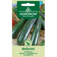 Тиквичка Нефертити Nefertiti