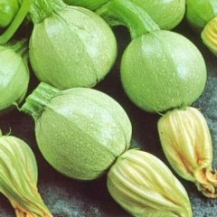 Тиквички Ди Ница Di Nizza